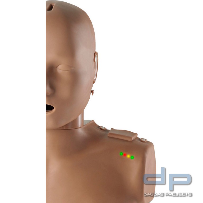 Prestan Reanimationstorso Erwachsener mit Leuchtanzeige, Gewicht 4,1 kg