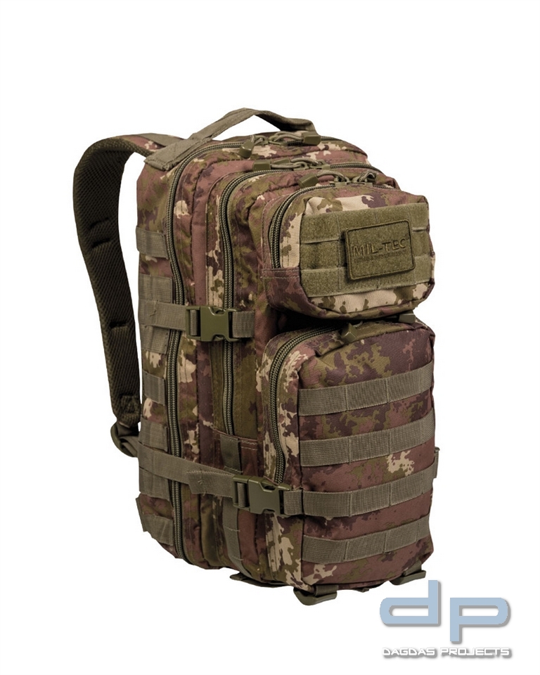 US ASSAULT PACK SM VEGETATO W/L VPE 2