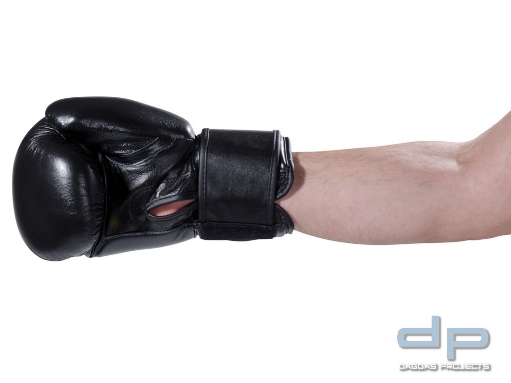 Boxhandschuhe Pointer Echtleder in Schwarz oder Rot