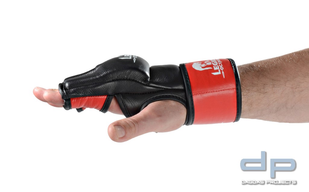 LEGION OCTAGON MMA Handschuhe Fight