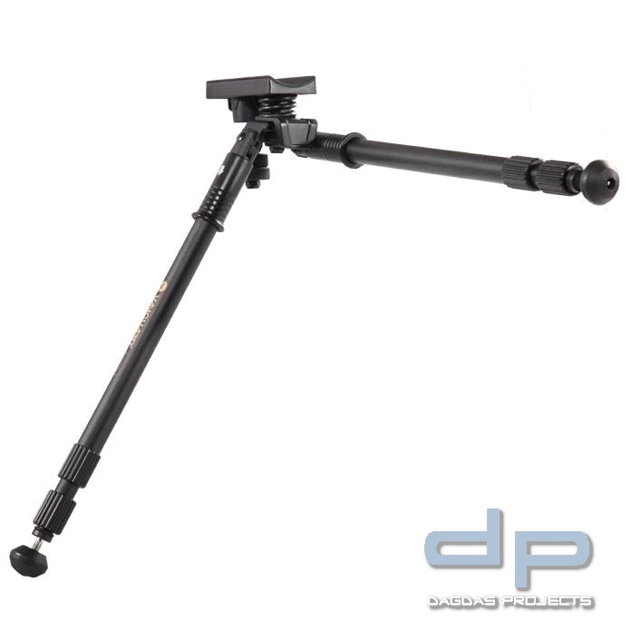 VANGUARD EQUALIZER 2 ZWEIBEIN