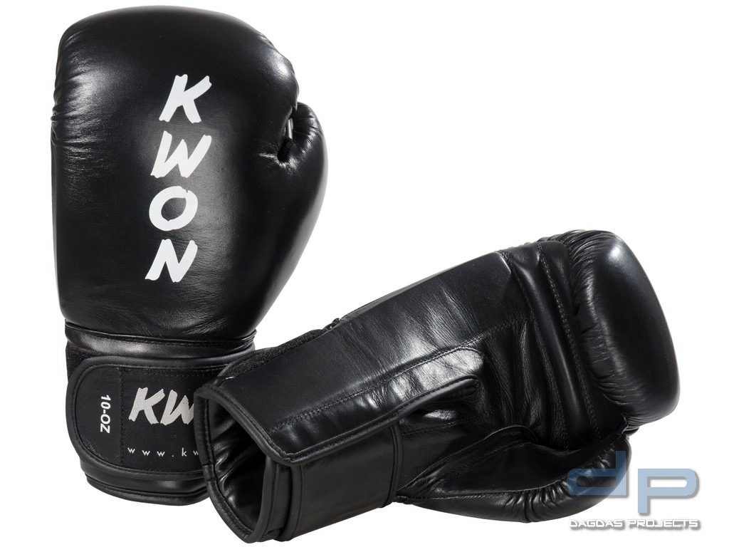 Boxhandschuhe Ergo Champ in verschiedenen Farben