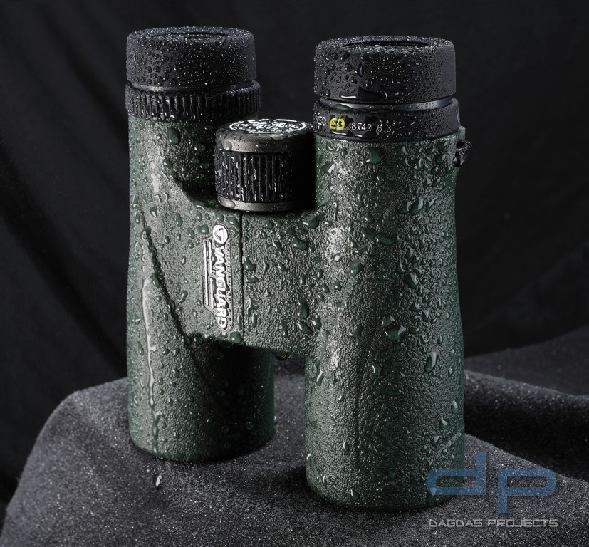 VANGUARD VEO ED 8X42 CARBON FERNGLAS