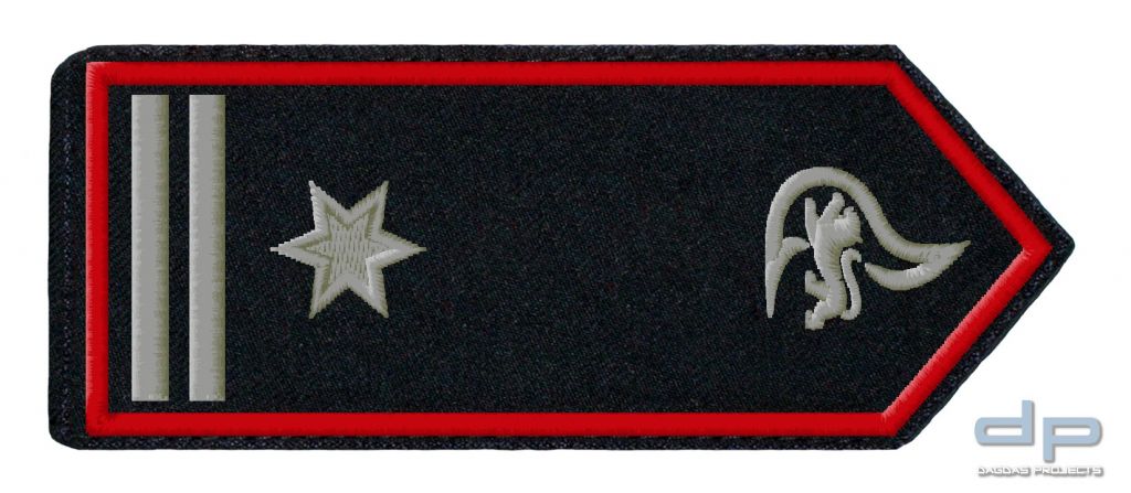 SCHULTERKLAPPENPAAR FEUERWEHR, BADEN-WÜRTTEMBERG BRANDMEISTER / BRANDMEISTERIN ALS ABT-KDT / ALS STV