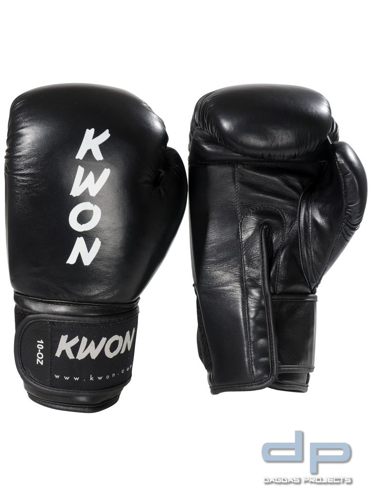 Boxhandschuhe Ergo Champ in verschiedenen Farben