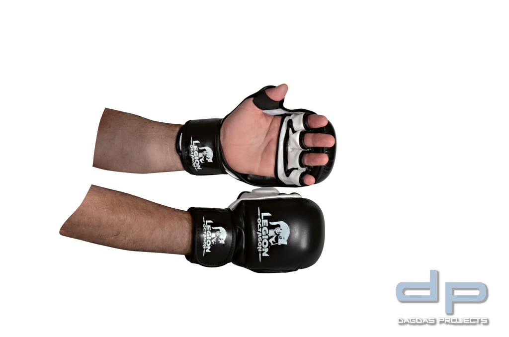 LEGION OCTAGON MMA Handschuhe Training