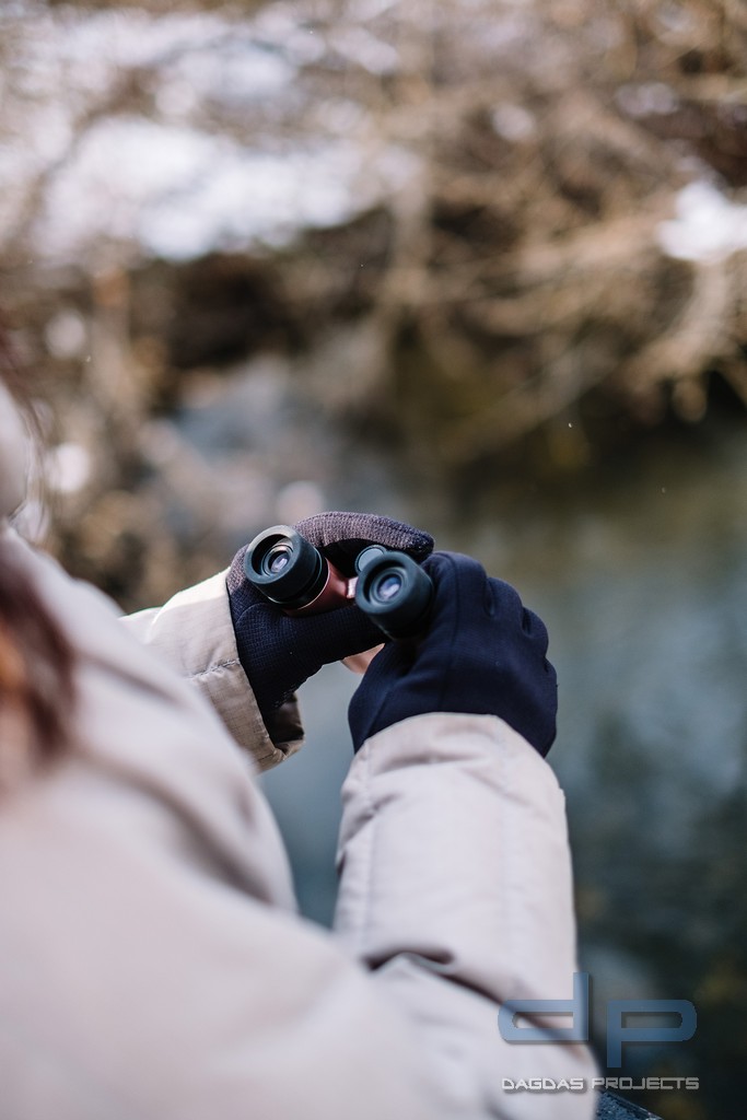 VANGUARD VESTA COMPACT 10X21 FERNGLAS BLACK PEARL