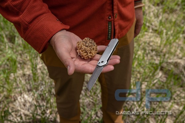 GERBER SPIRE -TASCHENMESSER IN VERSCHIEDENEN FARBEN