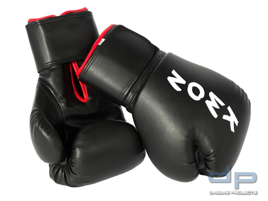 Boxhandschuhe Training in Schwarz/Rot
