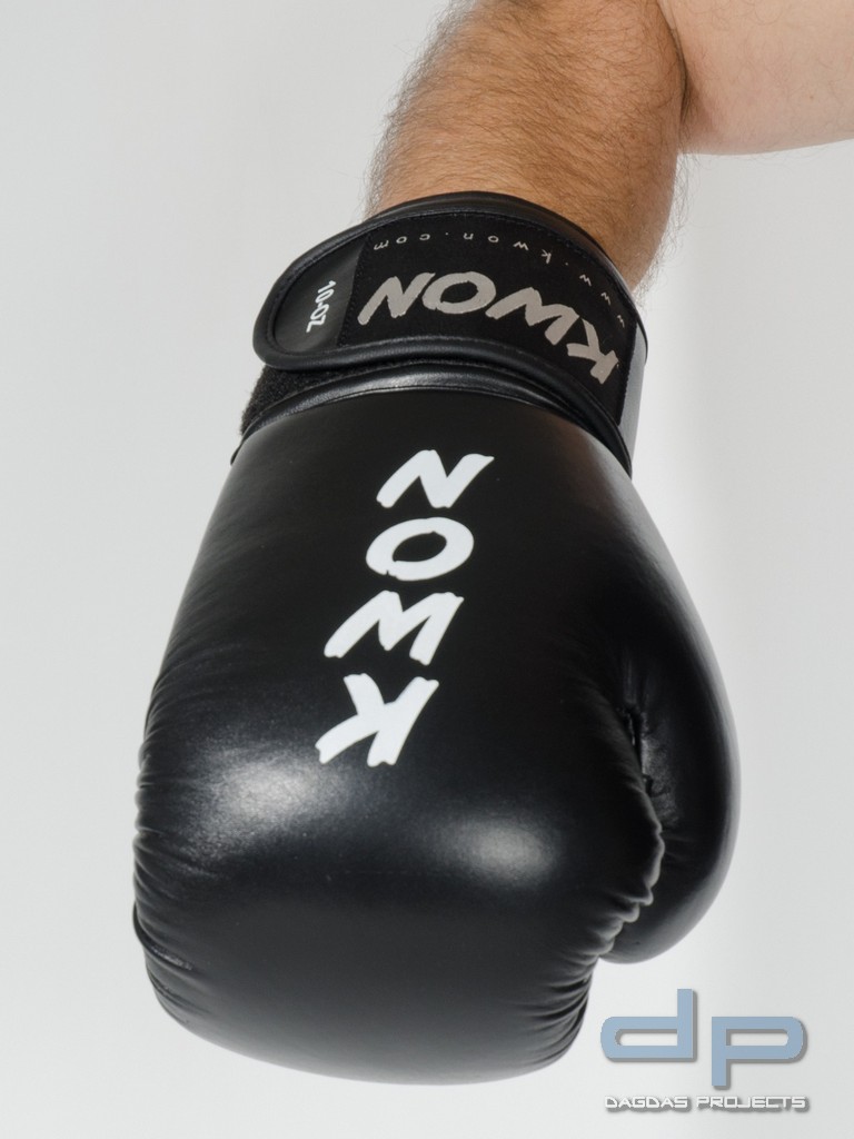 Boxhandschuhe Ergo Champ in verschiedenen Farben