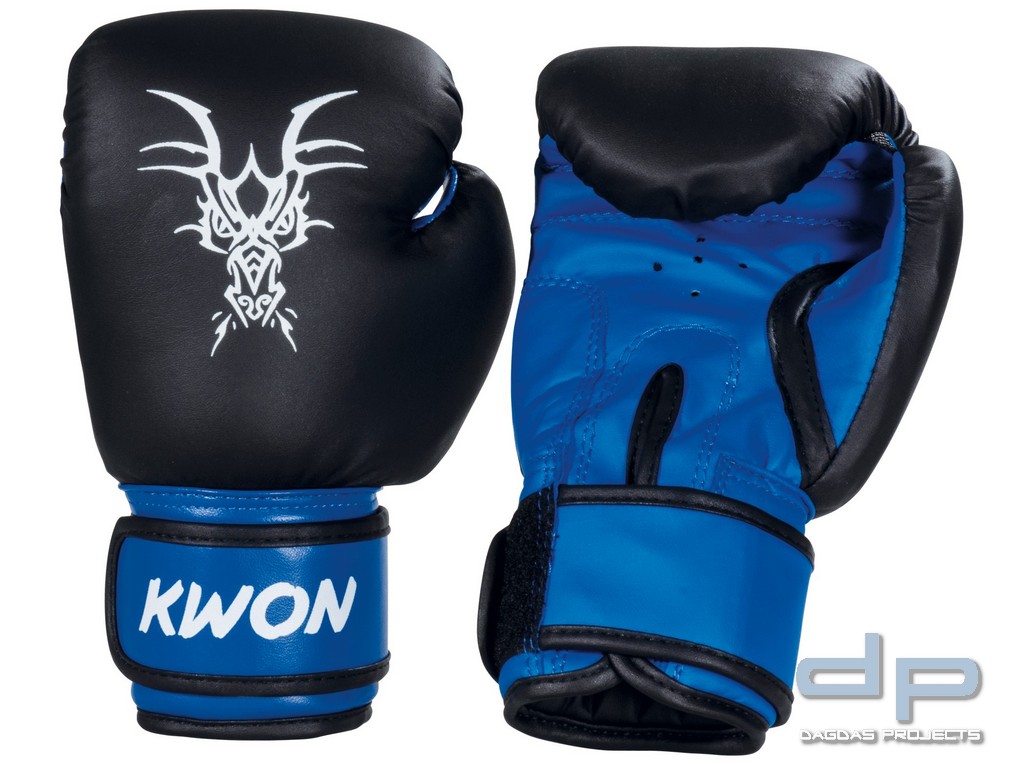 Kinder Boxhandschuhe Mini Drache