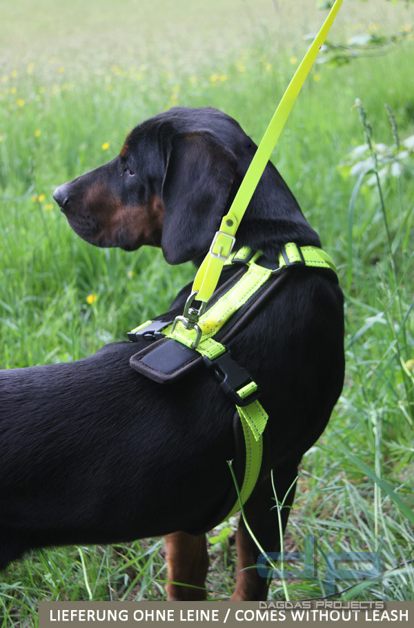 AKAH Brustgeschirr Tracker