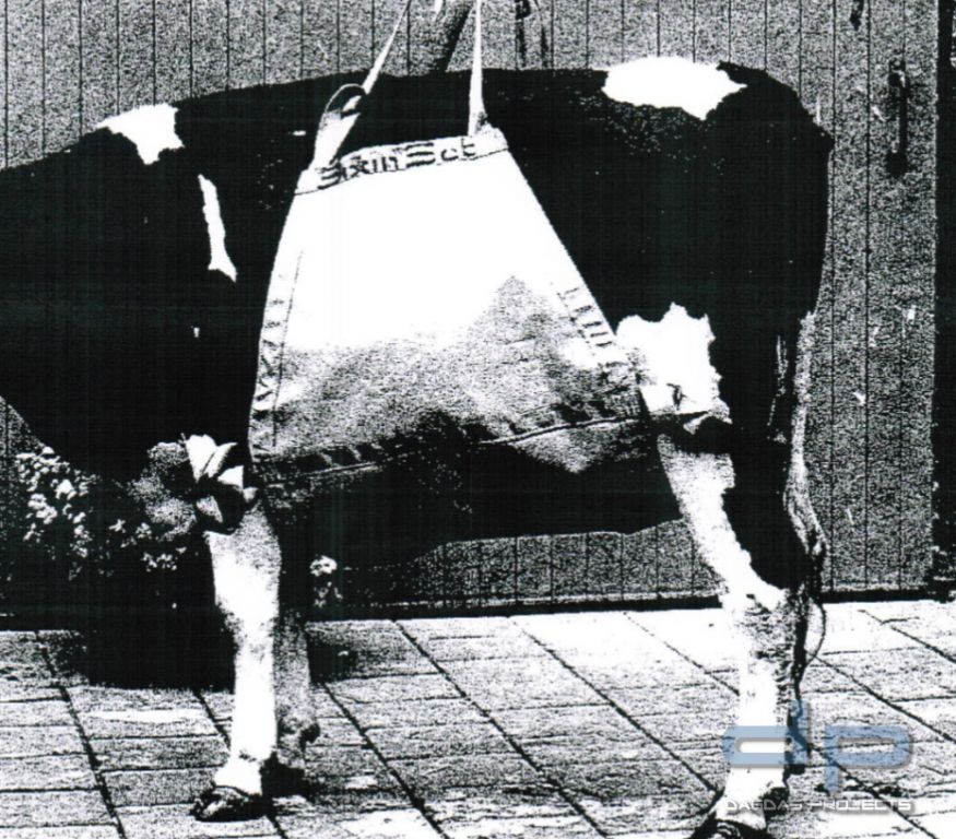 Tier-Hebegeschirr