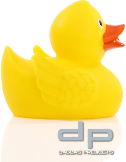 Renn-Ente mit Metallplatte