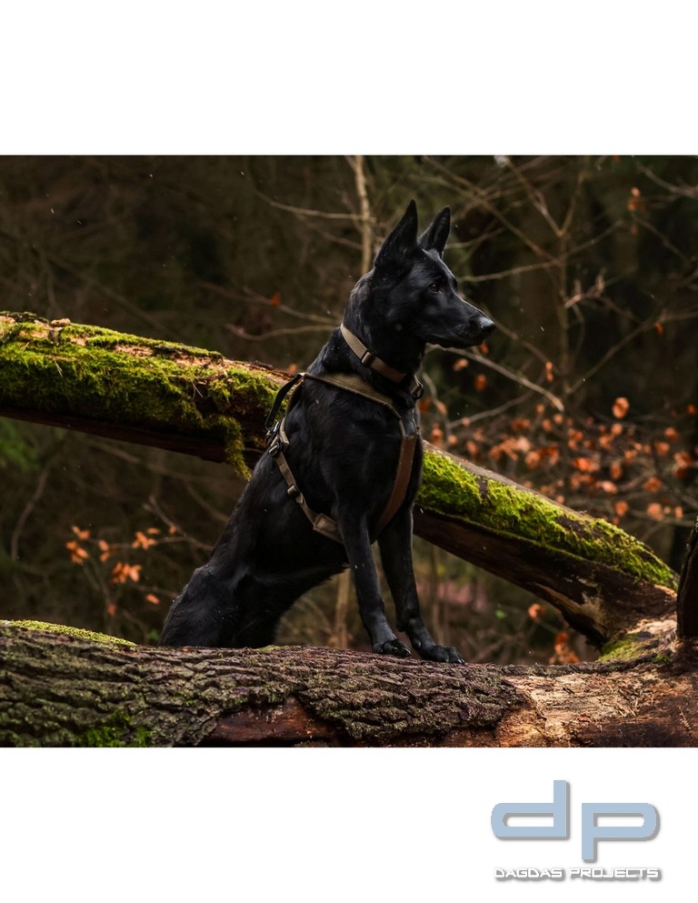 Non-stop Dogwear Zugstopp-Halsband, verstellbar in Oliv