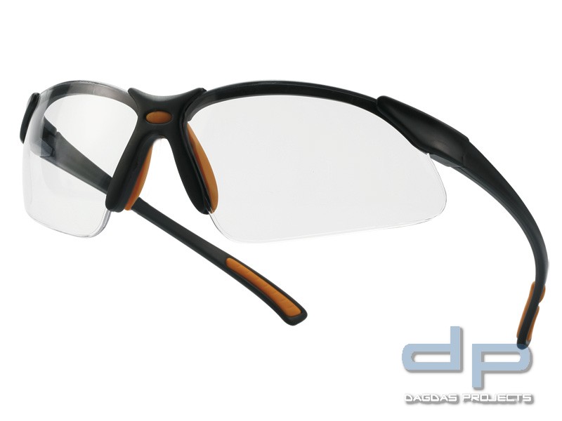 SCHUTZBRILLE TECTOR®, klar VPE 12