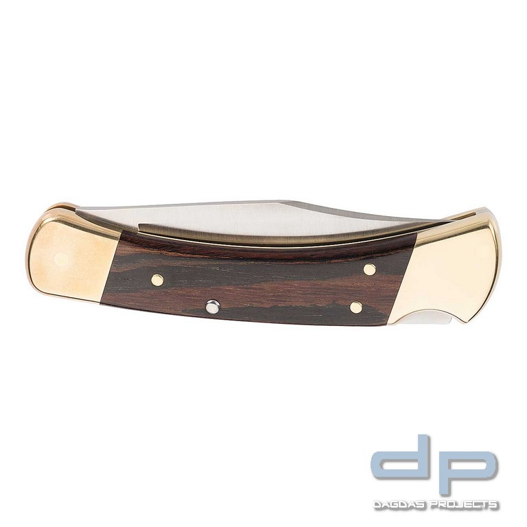 Buck Folding Hunter 110