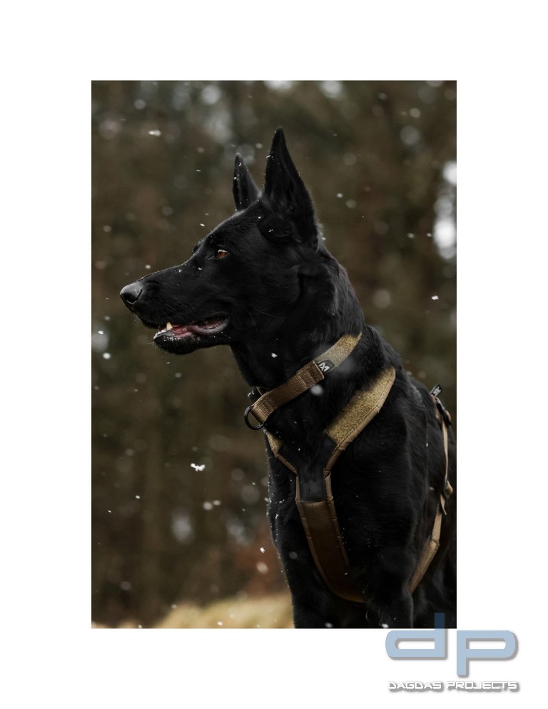 Non-stop Dogwear Zugstopp-Halsband, verstellbar in Oliv