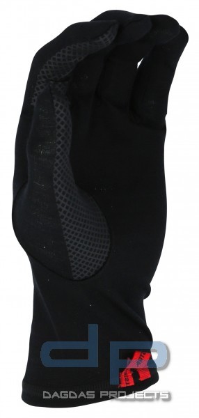 Hestra Merino Wool Liner Long (5-Finger Handschuhe)