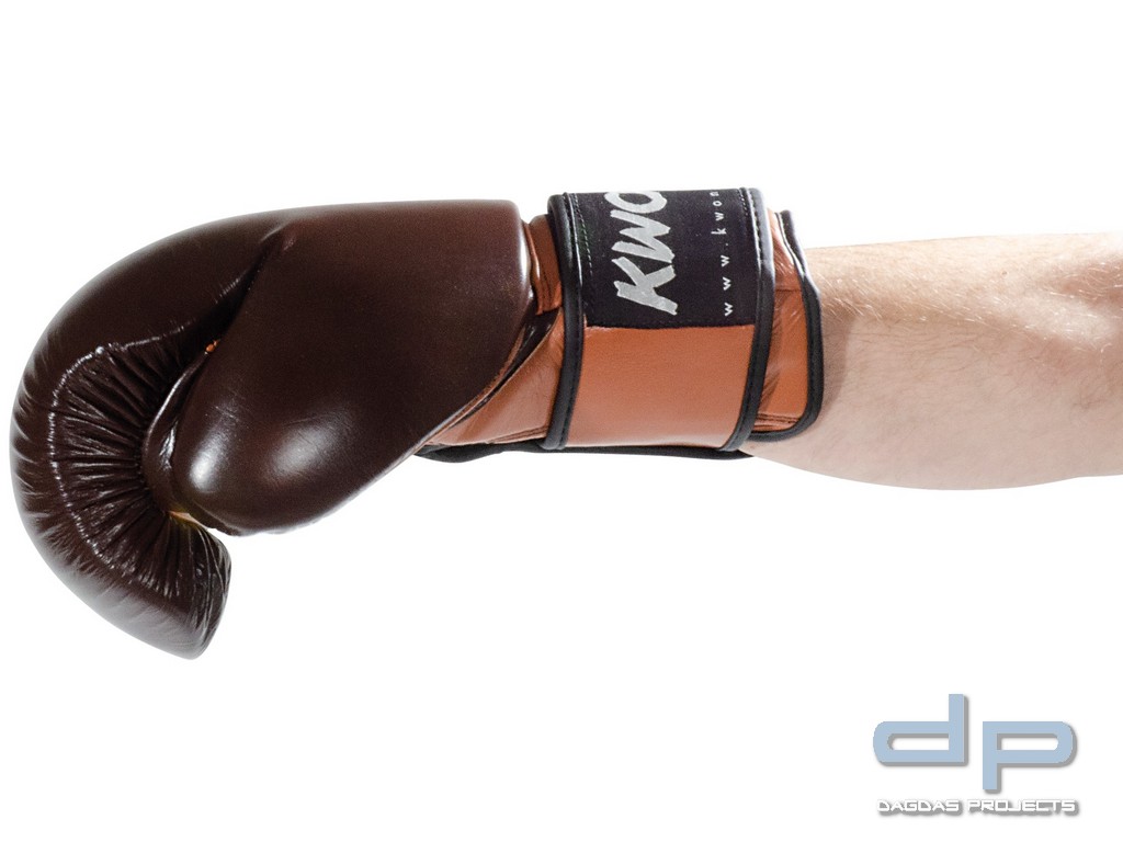 Kickboxhandschuhe KO Champ 10 oz und 12 oz in verschiedenen Farben