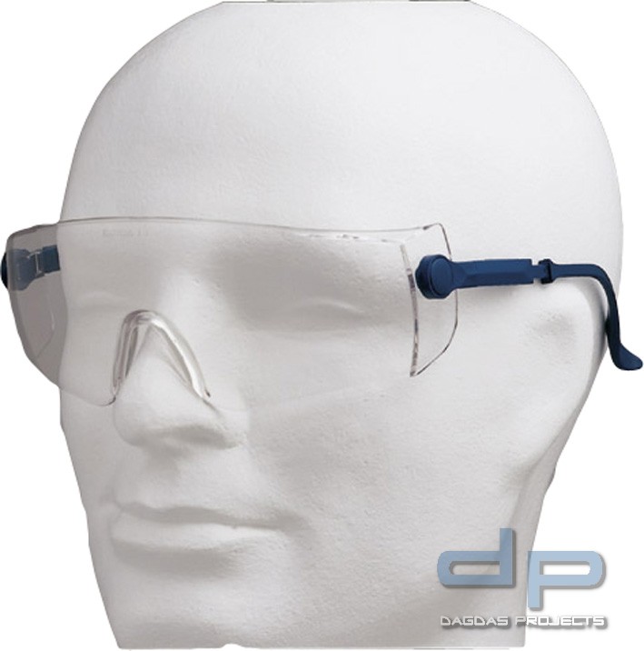 *ZEUS* SCHUTZBRILLE TECTOR® 12 Stück