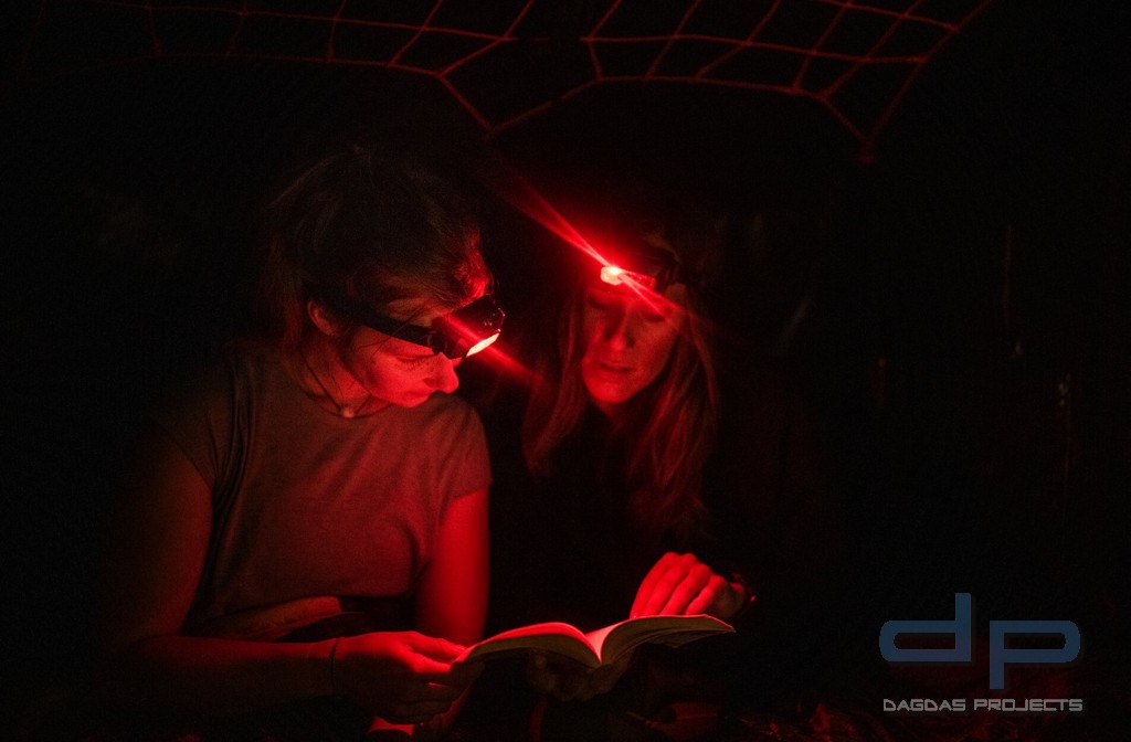 Ledlenser Stirnlampe HF4R Core in verschiedenen Farben