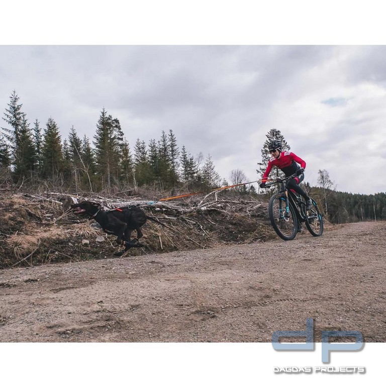 Non-stop Dogwear Protector Bootie 4er Set