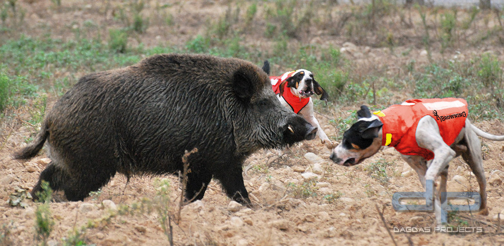 BROWNING Hundeschutzweste PROTECT PRO mit Wunschtext