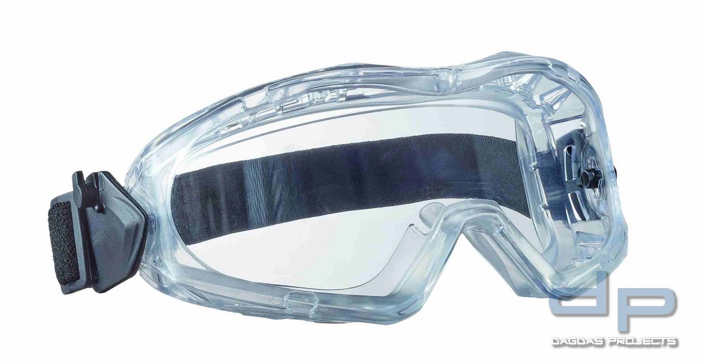 *RAID* VOLLSICHTBRILLE TECTOR® VPE 5