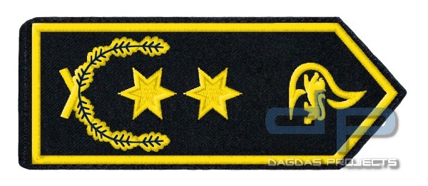 SCHULTERKLAPPENPAAR FEUERWEHR, BADEN-WÜRTTEMBERG STADTDIREKTOR/-IN (B4)