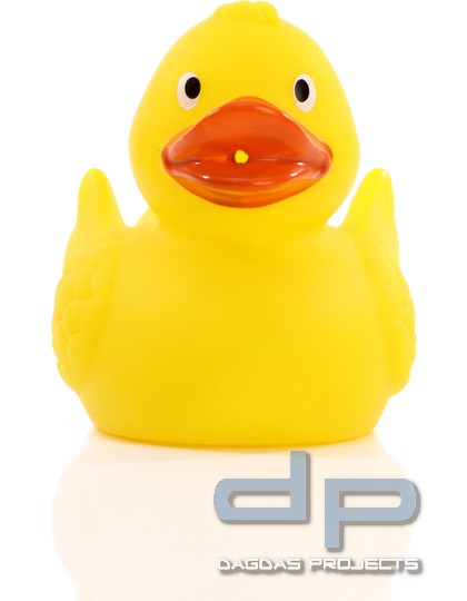 Renn-Ente mit Metallplatte