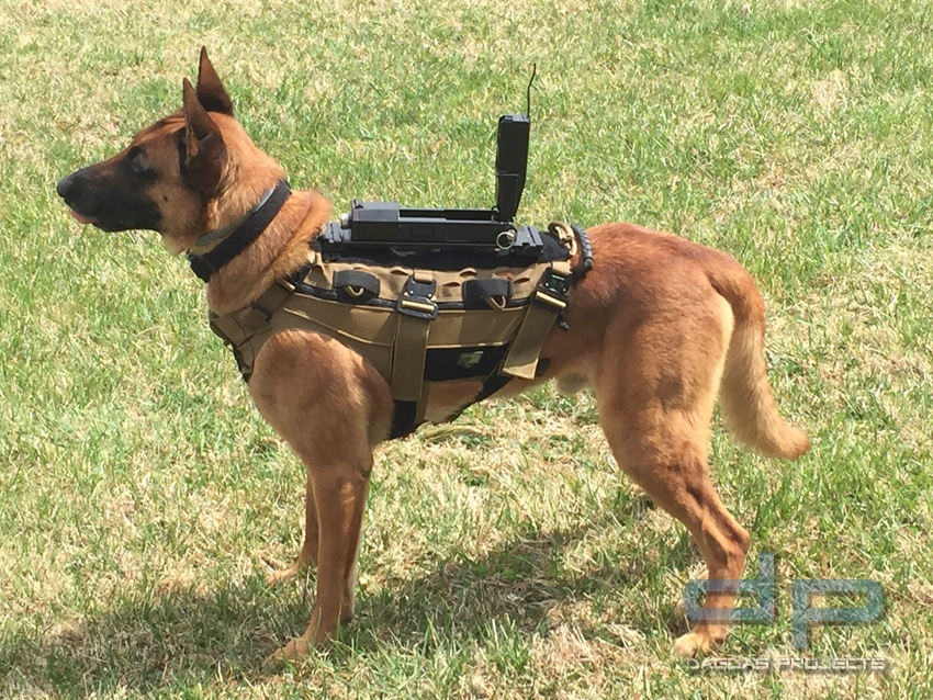 TSE Hundetrageweste für K-9 Kamera System