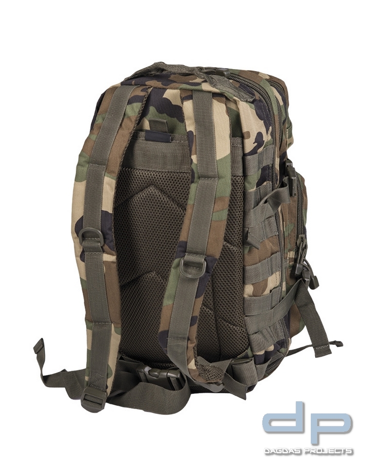 US ASSAULT PACK SM W/L VPE 2