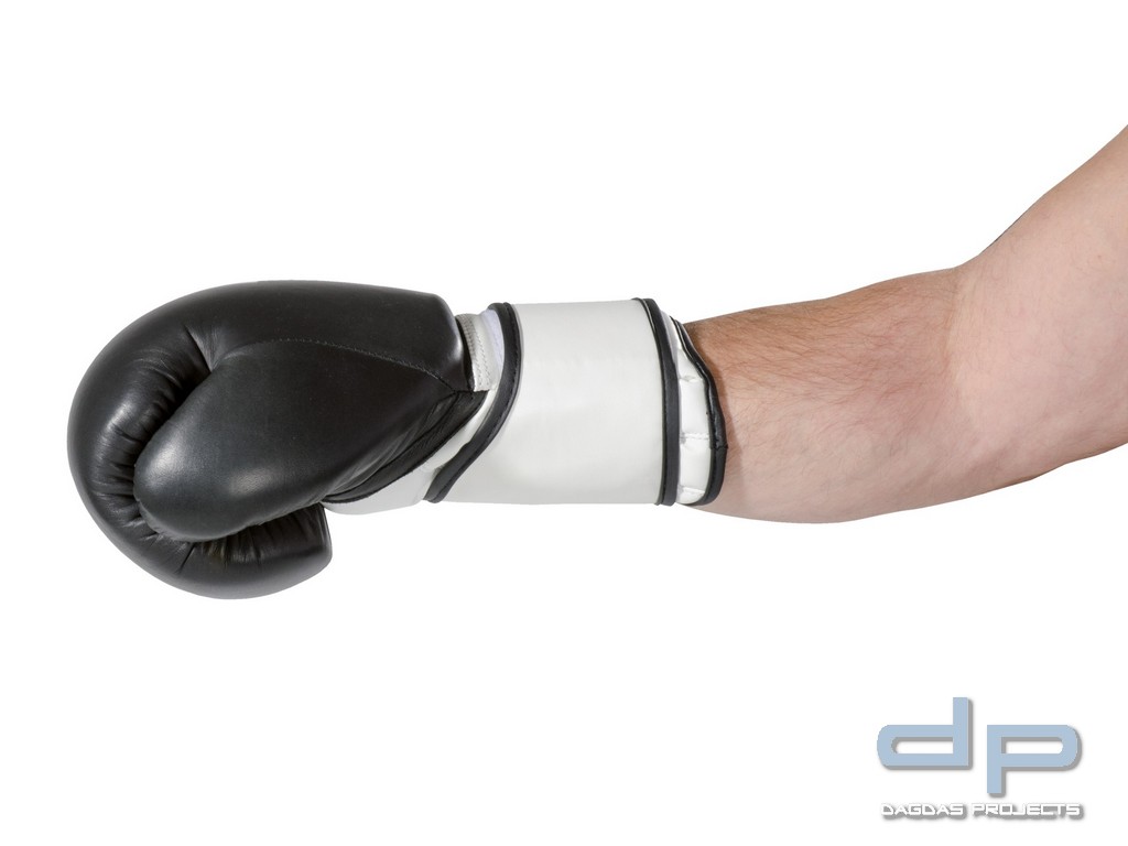 Boxhandschuhe Super Champ in Schwarz