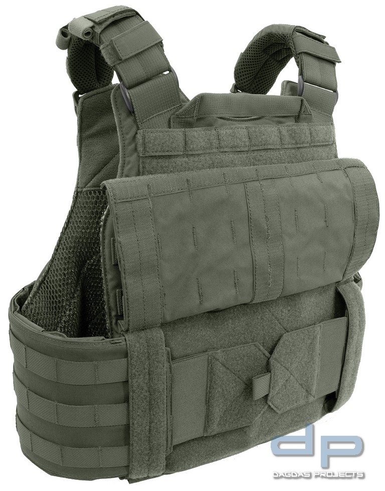 WAS QUAD RELEASE PLATE CARRIER in Ranger Green