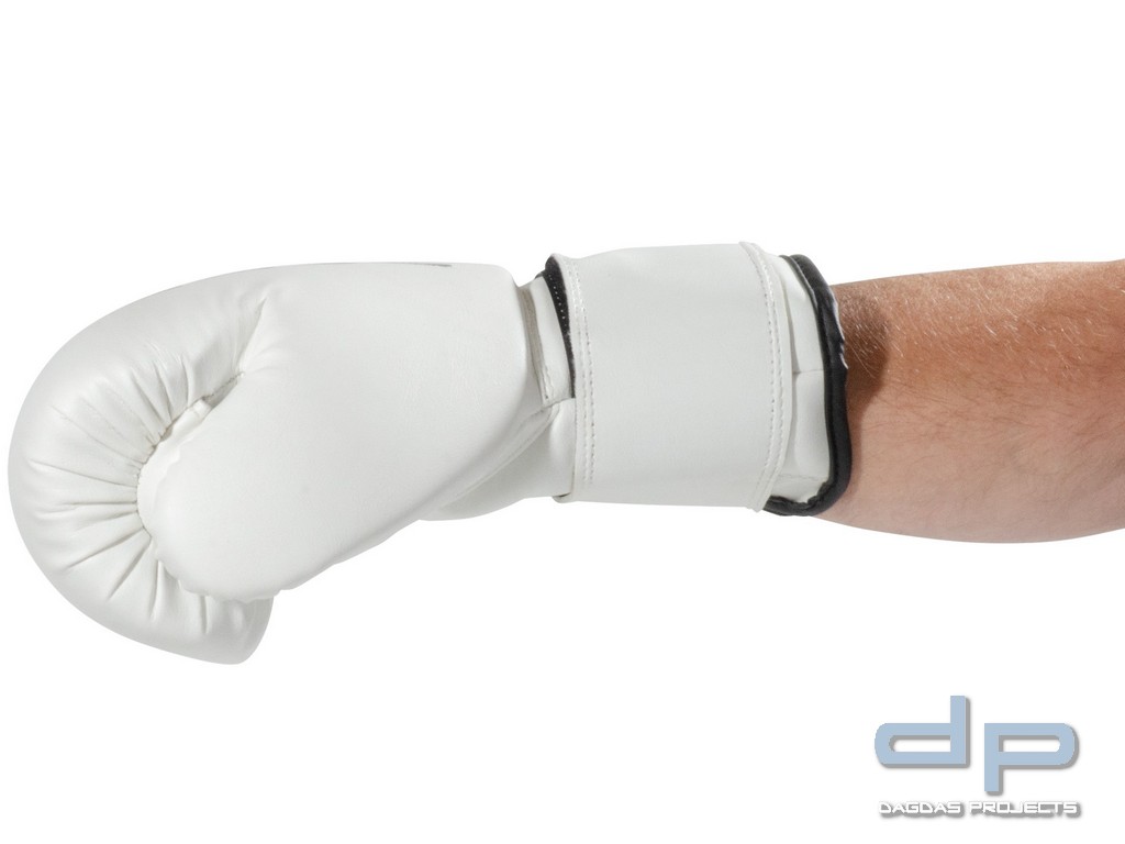 Kwon Boxhandschuhe Training weiß