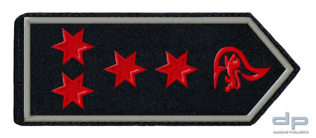SCHULTERKLAPPENPAAR FEUERWEHR, BADEN-WÜRTTEMBERG ERSTE/R HAUPTBRANDMEISTER/-IN (A10)