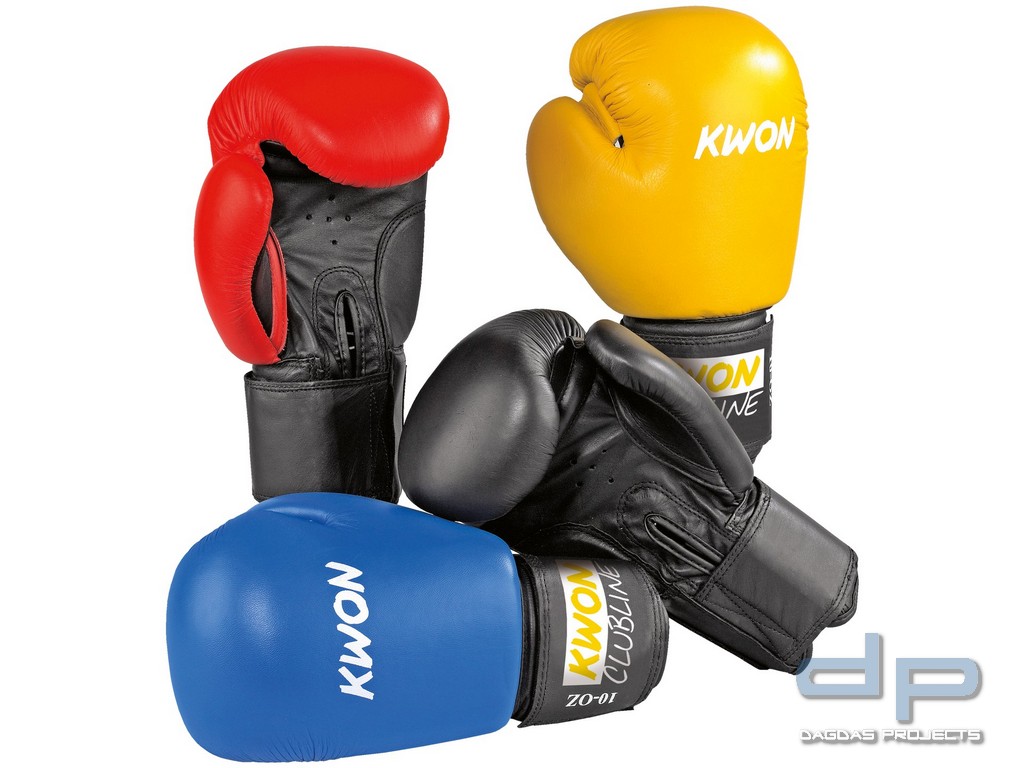Boxhandschuhe Pointer in verschiedenen Farben