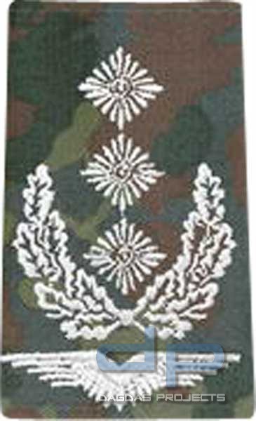 BW Rangschl. Oberst Luftwaffe Tarn/Silber