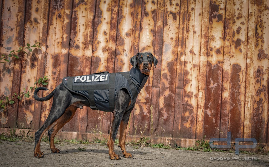 Henry Protection - Stich- und Schnittschutz- Weste für Hunde