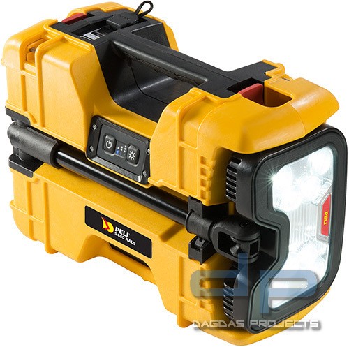RALS 9480