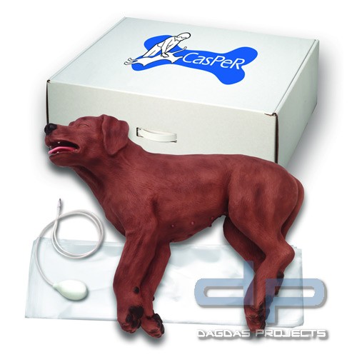 Reanimationshund Casper