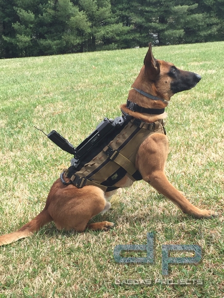 TSE Hundetrageweste für K-9 Kamera System