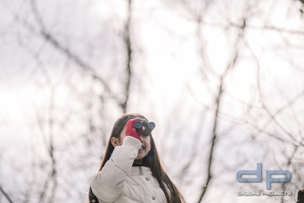 VANGUARD VESTA COMPACT 10X21 FERNGLAS BLACK PEARL