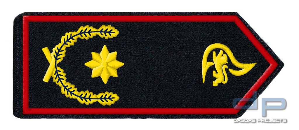 SCHULTERKLAPPENPAAR FEUERWEHR, BADEN-WÜRTTEMBERG VIZEPRÄSIDENT/-IN DES LANDESFEUERWEHRVERBANDES