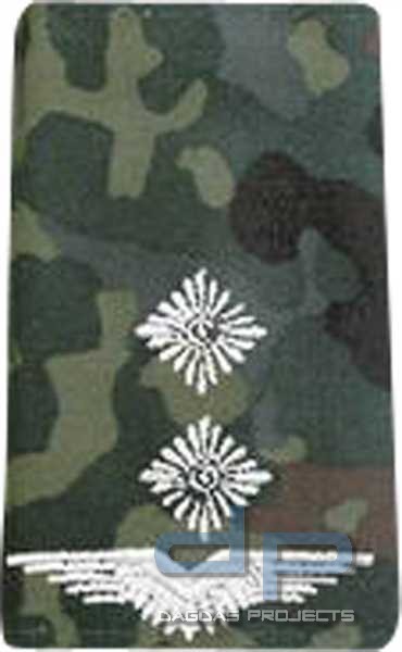 BW Rangschl. Oberleutnant LW Tarn/Silber