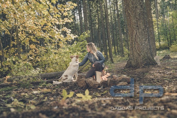 GERBER AYAKO FOLDING POCKET SILVER