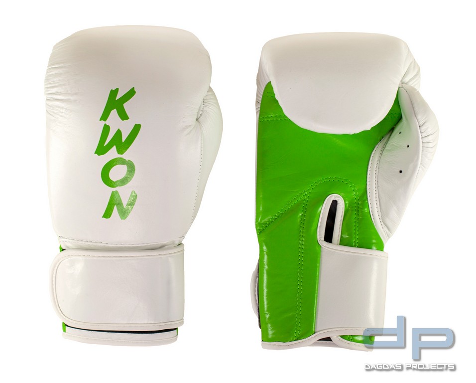 Kickboxhandschuhe Fight Champ in verschiedenen Farben