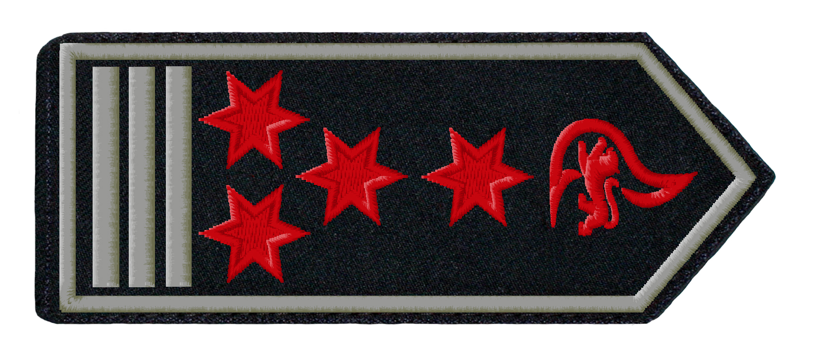 SCHULTERKLAPPENPAAR FEUERWEHR, BADEN-WÜRTTEMBERG ERSTE/R HAUPTBRANDMEISTER/-IN (A10) ALS FW.-KDT