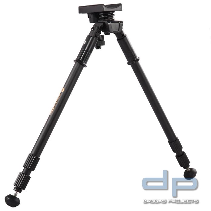 VANGUARD EQUALIZER 2 ZWEIBEIN